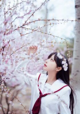 免费观看女人高潮流视频_蓝光高清完整版播放